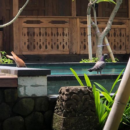 Melati Bali Homestay Canggu Exterior foto