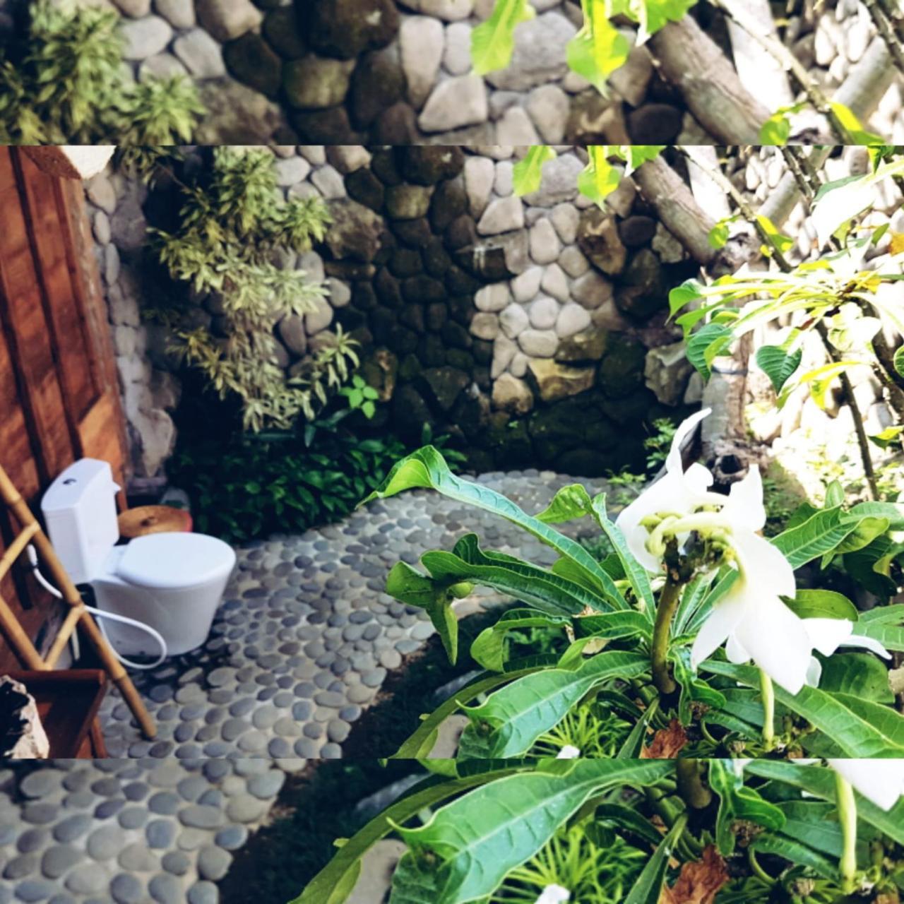 Melati Bali Homestay Canggu Exterior foto